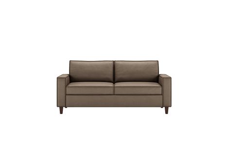 Mitchell Comfort Sleeper