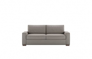 Madden Comfort Sleeper